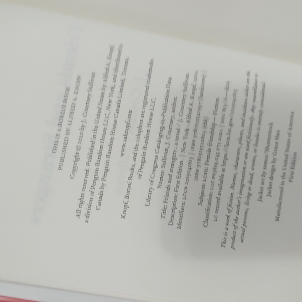 Friends & Strangers/Book 📚 - Picture 7 of 11